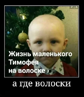 🌟 emoji украл - не уважаешь себя Telegram sticker 21 of 53
