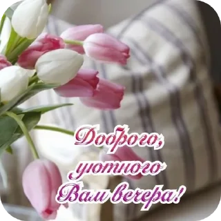 Sticker from Добрый вечер