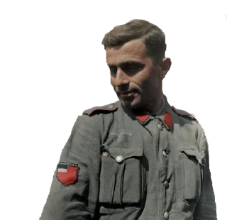 🙋‍♂️ emoji Georgian National Unity Telegram sticker 10 of 92