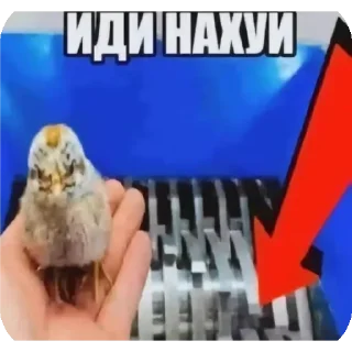 👍 emoji Геи ТТ Telegram sticker 9 of 98