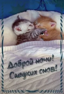 💤 emoji Бабушкино счастье🤗 Telegram sticker 2 of 52