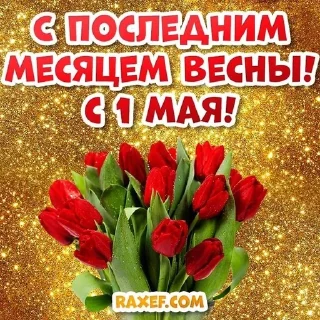 🌺 emoji Бабушкино счастье🤗 Telegram sticker 24 of 52