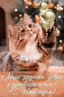 🎄 emoji Бабушкино счастье🤗 Telegram sticker 18 of 52