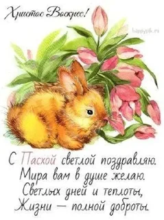 🐇 emoji Бабушкино счастье🤗 Telegram sticker 21 of 52