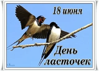 🐔 emoji Бабушкино счастье🤗 Telegram sticker 14 of 52