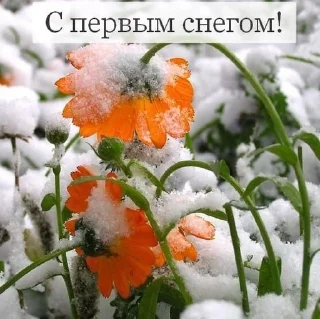 🌨 emoji Бабушкино счастье🤗 Telegram sticker 23 of 52