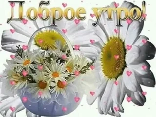 😍 emoji Бабушкино счастье🤗 Telegram sticker 1 of 52