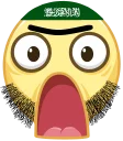 Sticker from Mujahideen stick