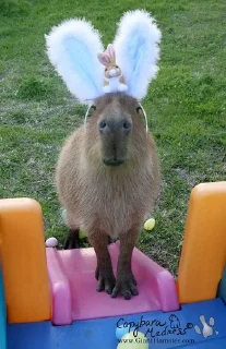 💋 emoji То, что тебе понадобиться Telegram sticker 17 of 26