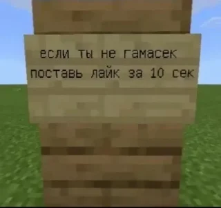 Sticker from майнкрафт