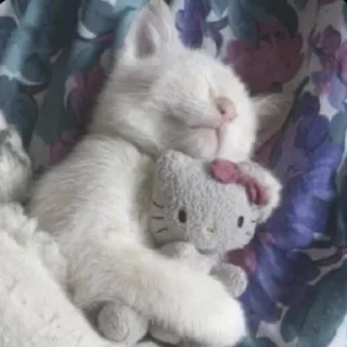 Sticker from Sleepy cats and kitties | by @tg_ori004