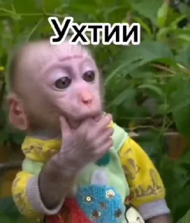 ❤️ emoji Бибизянки 6 > @bibizyankii Telegram sticker 5 of 109