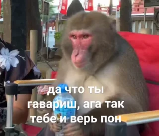 ❤️ emoji Бибизянки 6 > @bibizyankii Telegram sticker 16 of 109