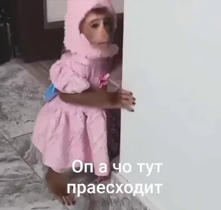 🌟 emoji Бибизянки адменав @Oda_p0pk0r9 не пидар Telegram sticker 20 of 68