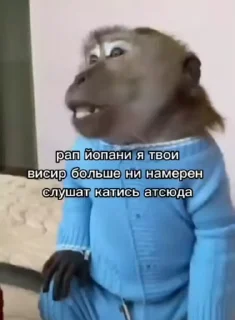 🤬 emoji Бибизянки адменав @Oda_p0pk0r9 не пидар Telegram sticker 22 of 68