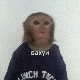 Sticker from Бибизянки 8 > @bibizyankii