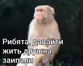 😒 emoji Бибизянки 6 > @bibizyankii Telegram sticker 21 of 109