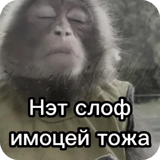 Sticker from Бибизянки 7 > @bibizyankii