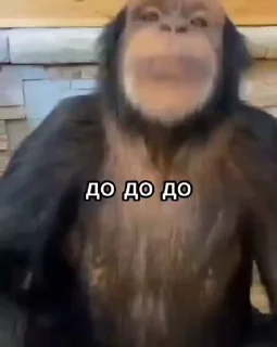 ☺ emoji Бибизянки адменав @Oda_p0pk0r9 не пидар Telegram sticker 12 of 68