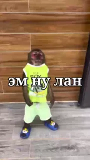 😎 emoji Бибизянки 6 > @bibizyankii Telegram sticker 9 of 109