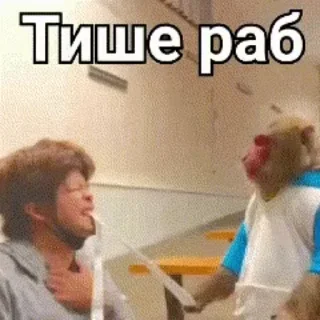 🌟 emoji Бибизянки адменав @Oda_p0pk0r9 не пидар Telegram sticker 24 of 68