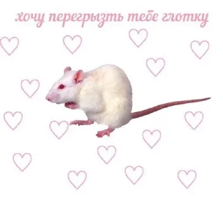 Sticker from грустная китти🎀