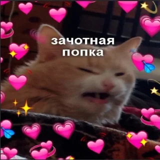 😇 emoji Важные переговоры Telegram sticker 10 of 111
