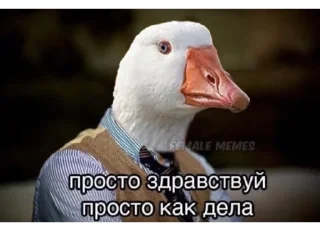 👋 emoji Важные переговоры Telegram sticker 24 of 104