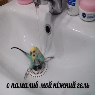 🤩 emoji Важные переговоры Telegram sticker 23 of 111