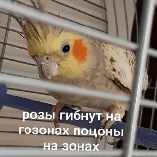 ✊ emoji Важные переговоры Telegram sticker 20 of 111