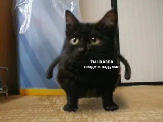 Sticker from Важные переговоры