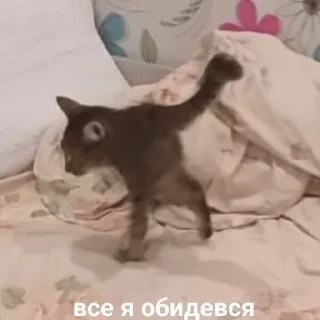 Sticker from Важные переговоры