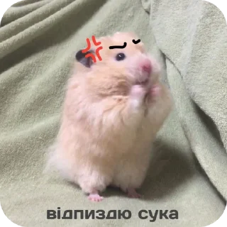 🐱 emoji animalistic Telegram sticker 17 of 99