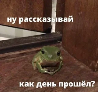 Стикеры от Fish VPN sticker 4
