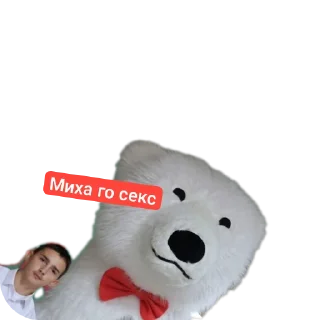 🧥 emoji Гейский транс ➡️ @Ctikerubot Telegram sticker 24 of 109