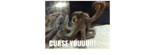 octopuses sticker 3