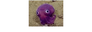 octopuses sticker 2