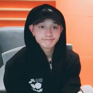 Sticker from Skz 👑👑👑👑👑👑👑👑