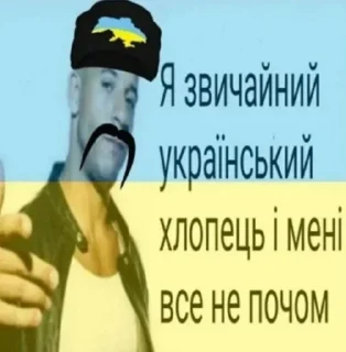 🇺🇦 emoji Wtf? Based?.. Telegram sticker 18 of 77