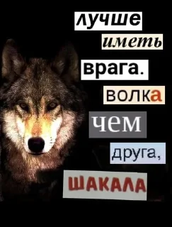 🌟 emoji Одинокий волк Telegram sticker 10 of 38
