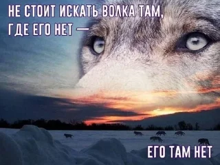 🌟 emoji Одинокий волк Telegram sticker 14 of 38