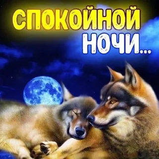 🌟 emoji Одинокий волк Telegram sticker 23 of 38