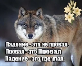 🌟 emoji Одинокий волк Telegram sticker 17 of 38