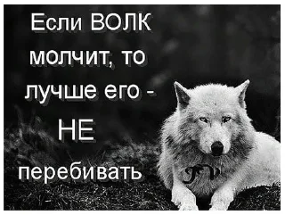 🌟 emoji Одинокий волк Telegram sticker 16 of 38