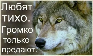 🌟 emoji Одинокий волк Telegram sticker 20 of 38