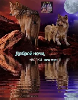 🌟 emoji Одинокий волк Telegram sticker 22 of 38