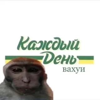 Sticker from обезьянка вахуи от @dnevnikayk