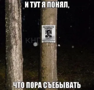 🌟 emoji Стикеры по Сезарю Торресу :D Telegram sticker 6 of 12