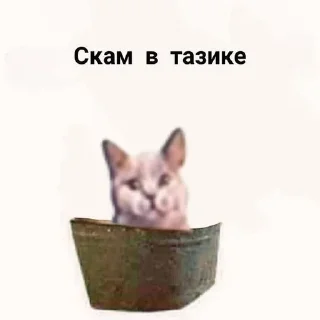😗 emoji Стикеры по альтам, еее Telegram sticker 7 of 40