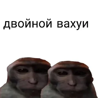 Sticker from обезьянка вахуи от @dnevnikayk